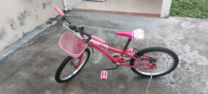 Bicicleta infantil feminina aro20