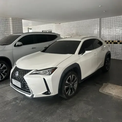 Lexus UX-250H Dynamic 2.0 16V Aut.(hybrid) 2019