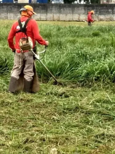 Limpeza de terreno