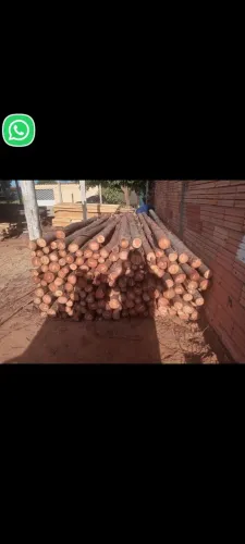 Escoras de eucalipto 
