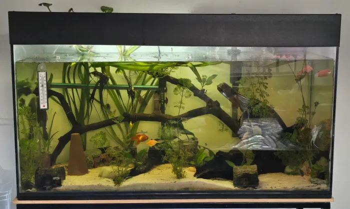 Aquario 200l