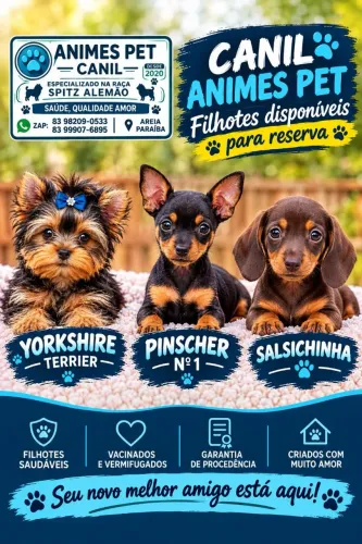Lindos filhotes 