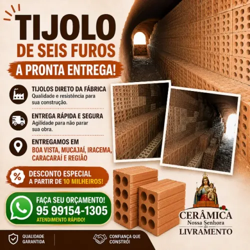 Tijolos 6 furos