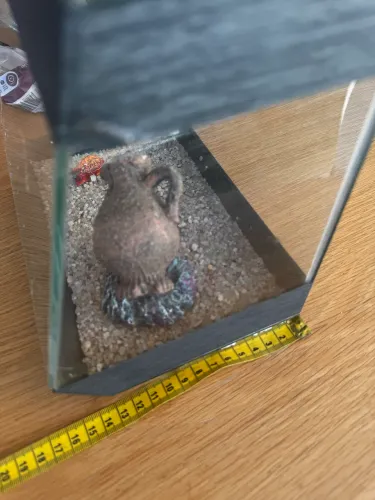Aquário Betta 6 litros