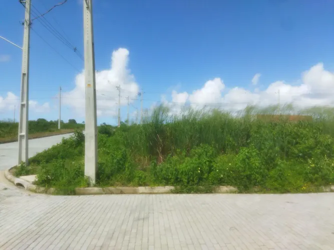 Colorado - Luar de Rio Largo IV - ESQUINA