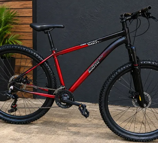 Bicicleta aro 29