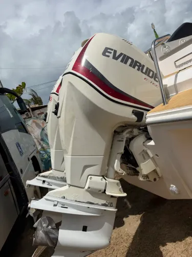 Vendo 2 motores - ETC EVINRUDE 300 HP
