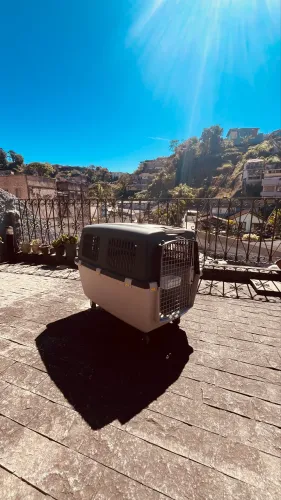 Caixa de Transporte Pet Gulliver Nº 6