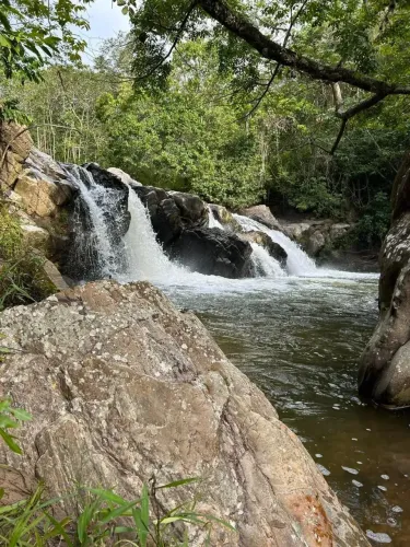 Vendo Fazenda  Pirenópolis - GO 32,5 Alqueires