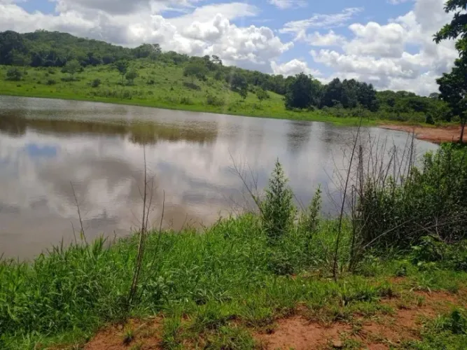 Fazenda à Venda em Goiás Velho -GO 37 Alqueires Toda Formada