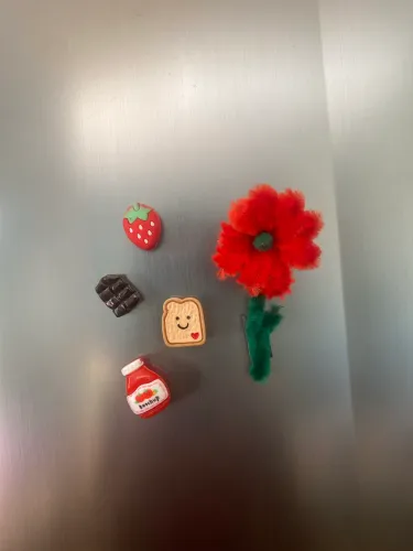 Imãs de Geladeira diversos
