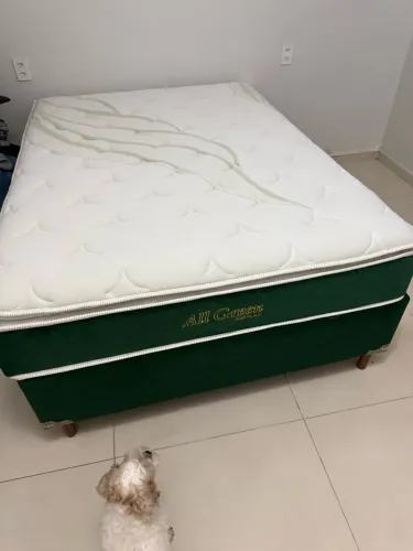Cama Box all green solft flex com pillow