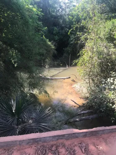 Venda-se Fazenda 97Ha na Beira Ribeirão das Formigas, Campos Lindos - To