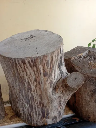 Troncos de madeira para mesas ,cadeiras , tábuas de corte , rústicos 