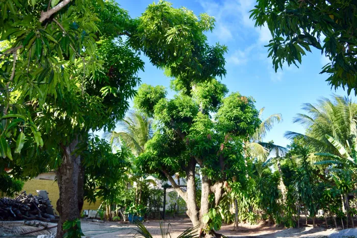 APTO EM MINI-FAZENDA PERTO DA PRAIA