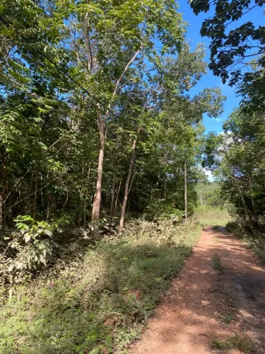 Área com 14000mts mts na beira do rio Parauna