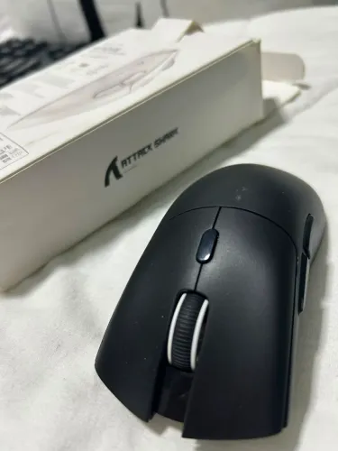 Mouse attack 