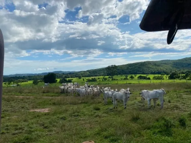 Sítio à venda no bairro Zona Rural em Iporá/GO