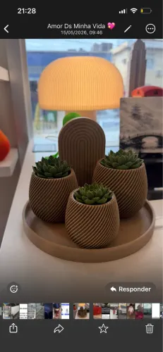 Kit vaso decorativo 5 peças