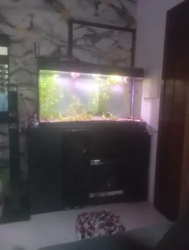 Aquário curvo 120 m