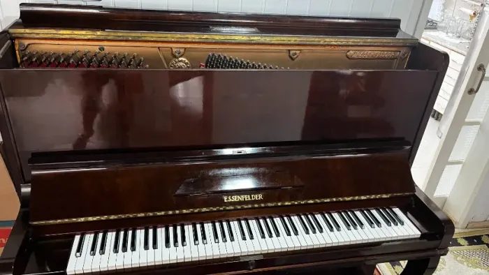 Piano Essenfelder em Alto Brilho