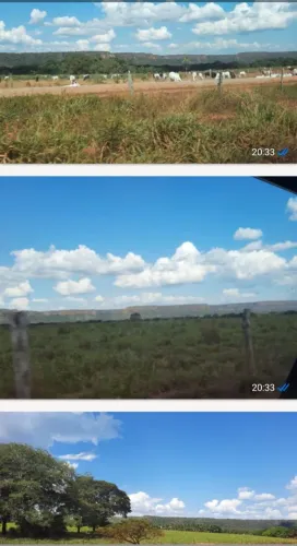 Vendo Fazenda 9.999 hectares mato grosso pega 50% imóveis Resto dinheiro ?