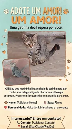 Gatinha fêmea para doar