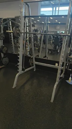 Smith Life Fitness 