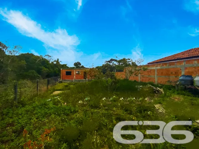 Terreno | São Francisco do Sul | Ervino