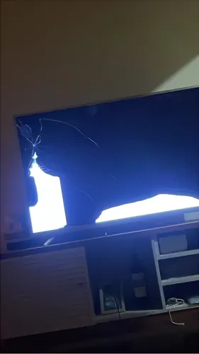 TV Philco com defeito na tela 