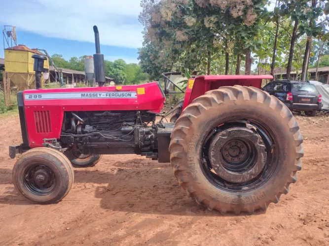 MF 295
