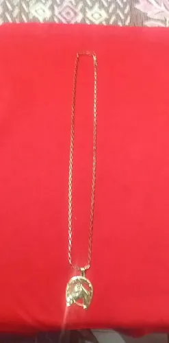 Cordão masculino dourado com face de cavalo*novo*!