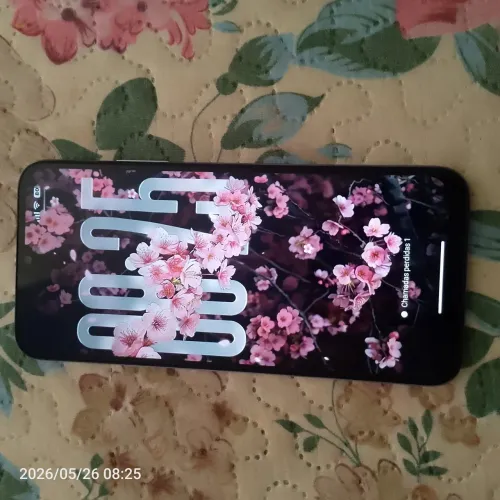 Celular 256 gigas 8 de RAM  850 reais