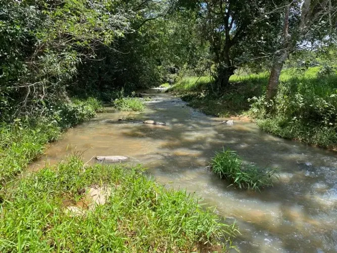 Sítio Escriturado 60.000m² | Córrego nos Fundos | Terra Fértil | próximo a Goiânia.