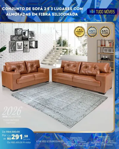 Conjunto De Sofá 2 e 3 Lugares 
