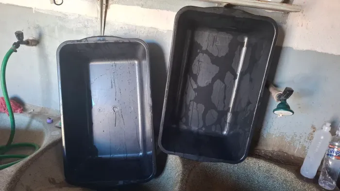 Caixa de areia para gatos 