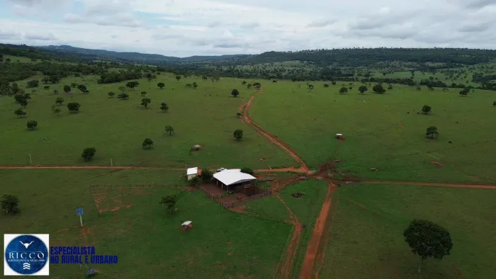 Fazenda à Venda em Jussara GO | 58 Alqueires | Boa de Água