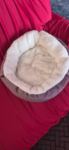 Desapego 