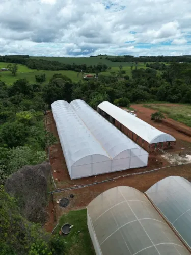 ESTUFA AGRÍCOLA 14L X 51C X 3A