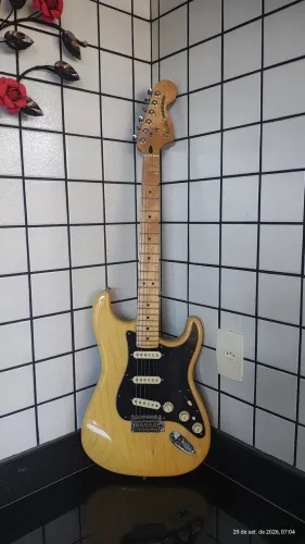 Fender Delux Player Stratocaster