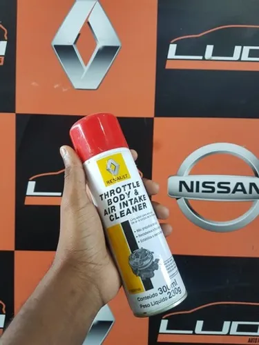 throttle body & air intake cleaner
