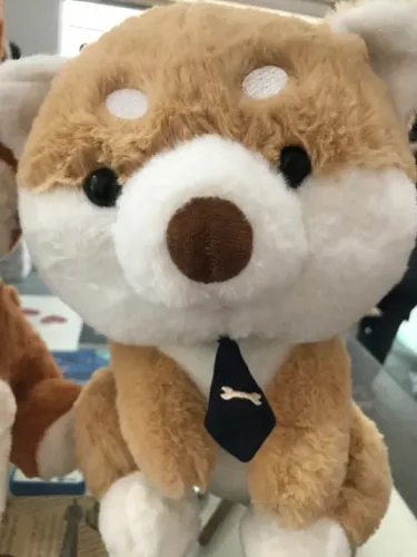 Raposa coleção gravata