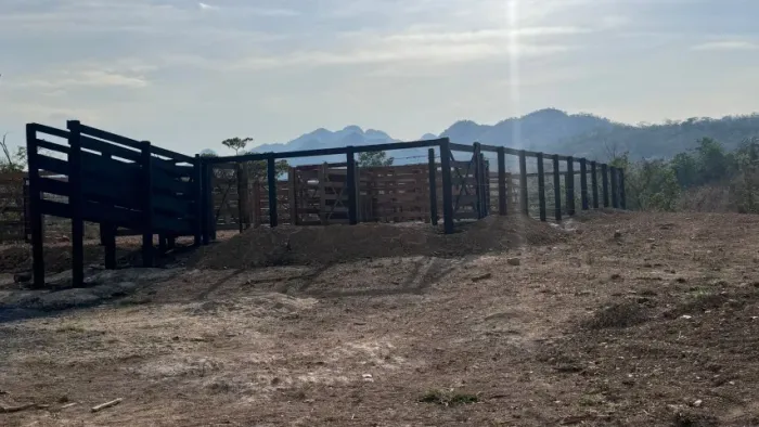 FAZENDA 22,5 ALQUEIRES NO QUEBRA LINHA