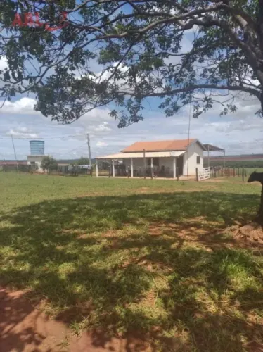 Fazenda para Venda em Centro Junqueirópolis-SP