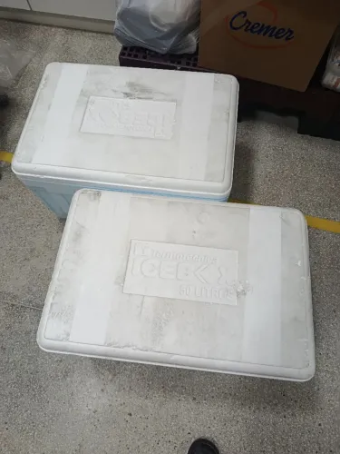 Caixa isopor 50 litros com gelos reutilizável 