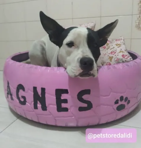 Cama Pet Personalizada