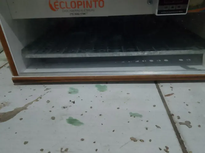 Vendo uma chocadeira nova só usei uma vez só ela pega 120 ovos de galinha 