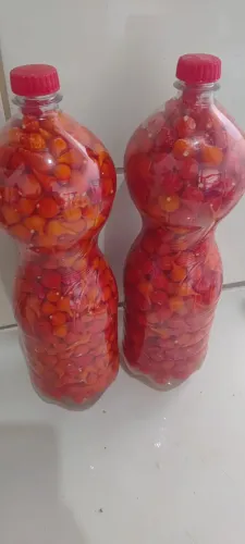 Pimenta biquinho e malagueta