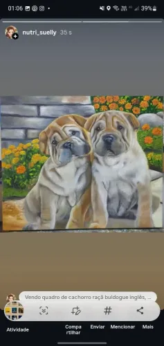 Quadro Cachorro raça buldogue inglês