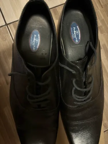 Sapato Social Masculino Pedigree